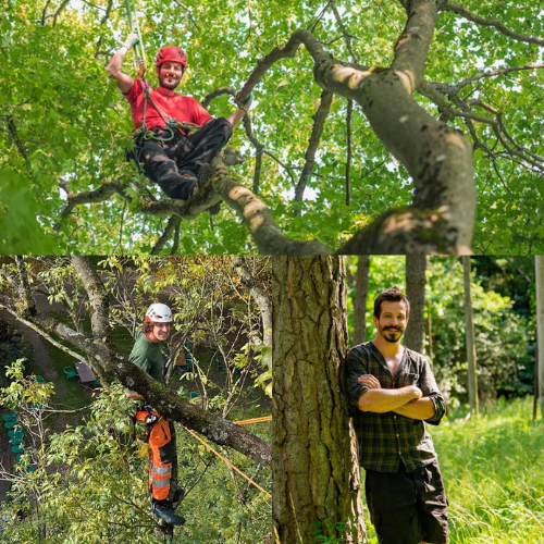 baumwärts - Über uns